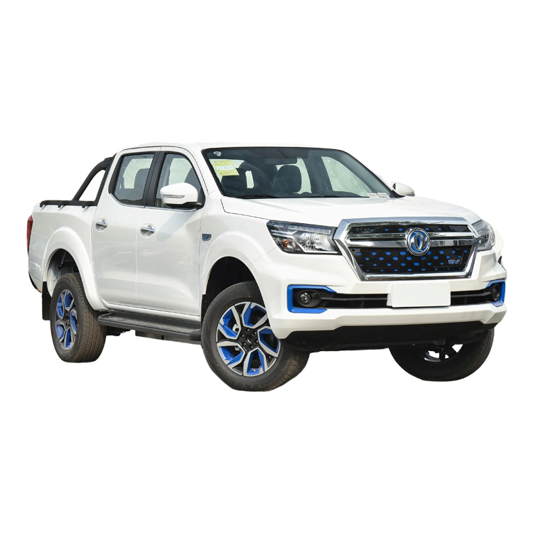 Dongfeng Rich6 EV 4X2 Double Cab Pickup